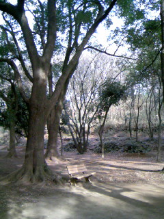 blog-park04.JPG